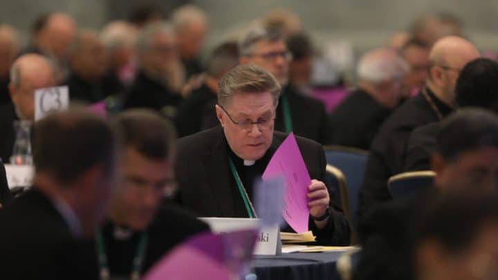 Anti poverty arm’s future, Indigenous and youth ministry plans top US bishops’ spring agenda