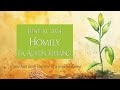Homily for June 16